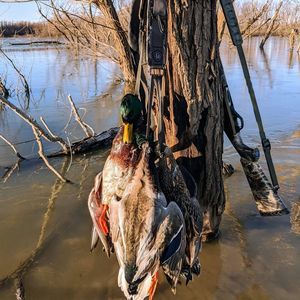 Meet your Posher, Craig